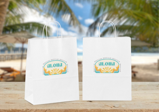 Papirsposer med hank snoet | PIT Packaging.dk | Alle-konvolutter