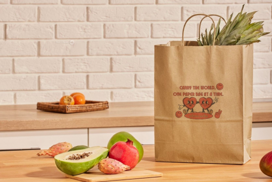 Papirsposer med hank snoet | PIT Packaging.dk | Alle-konvolutter